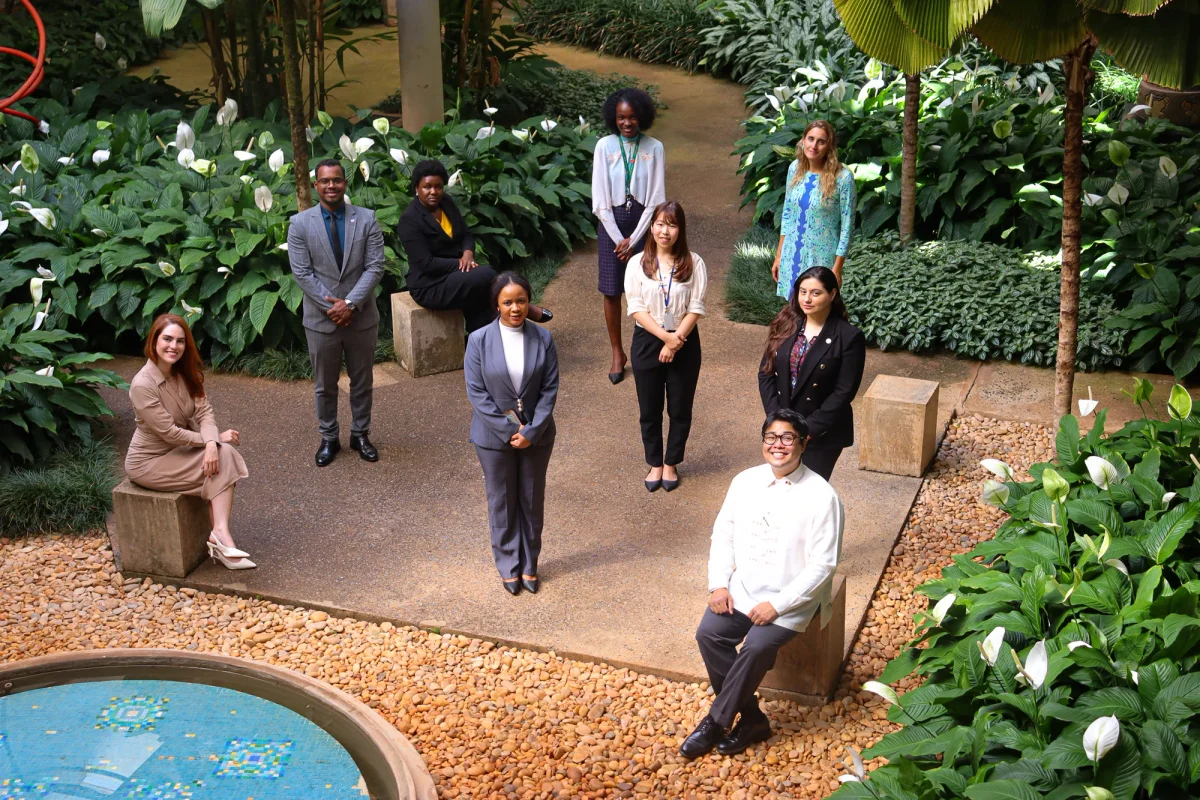 Rio Branco Institute learning environment