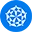 Teaching and Research Institute of the Sírio-Libanês Hospital Logo
