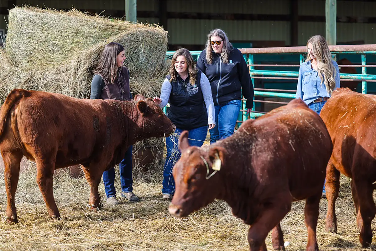 Students at Olds College