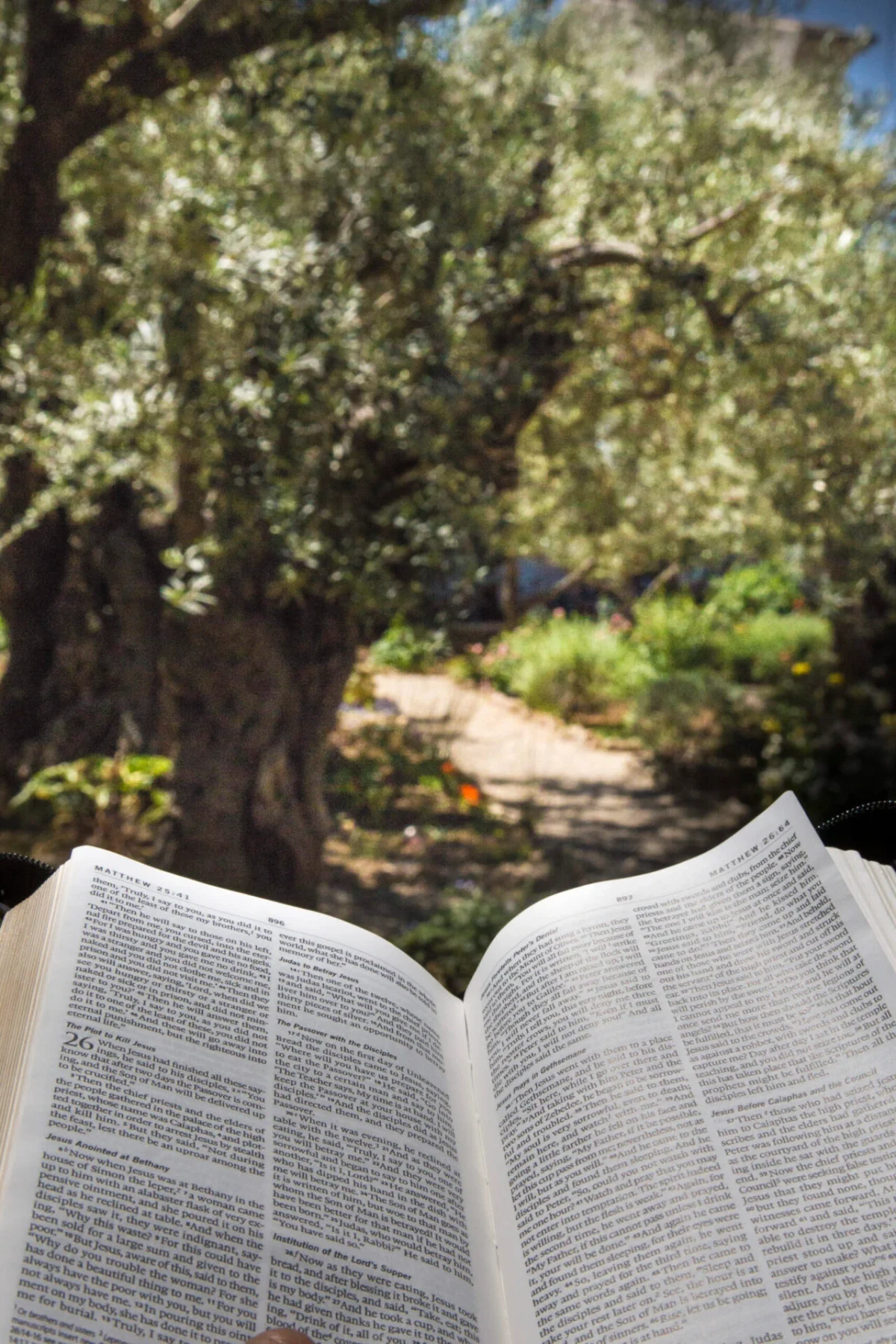 Inside Prairie Bible Institute