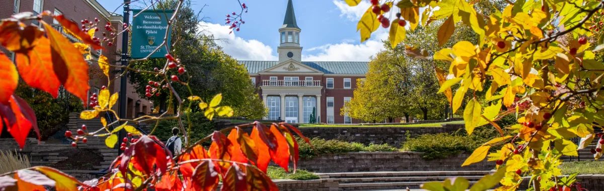 Around St. Thomas University campus