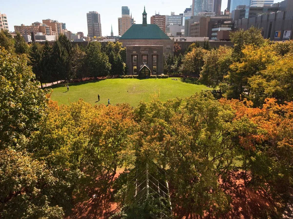 Toronto Metropolitan University main campus view