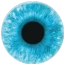 ARCOS Professional Institute Logo