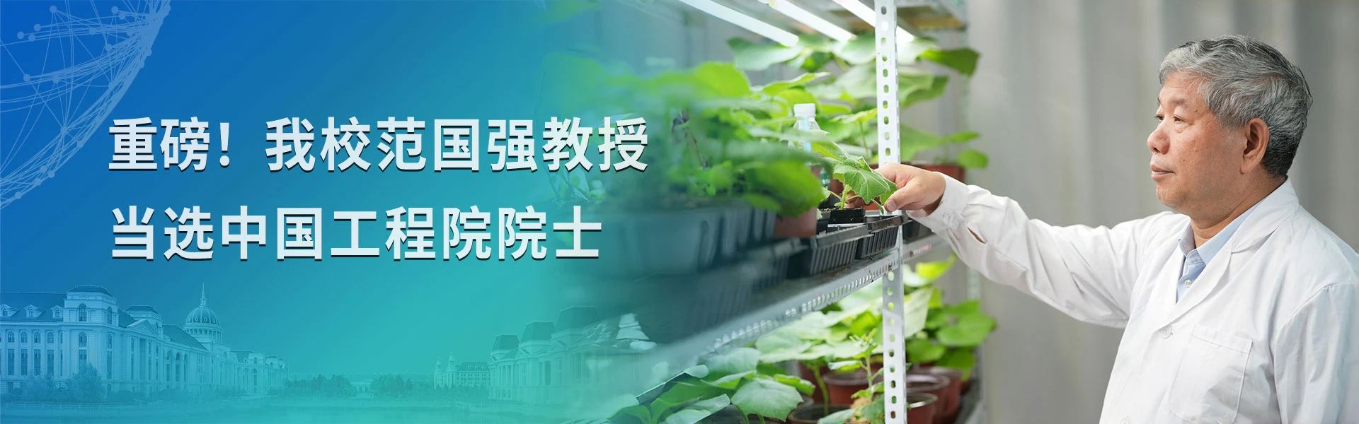 Students at Henan Agricultural University