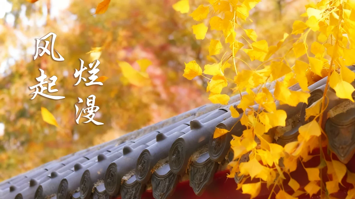 Heze University learning environment