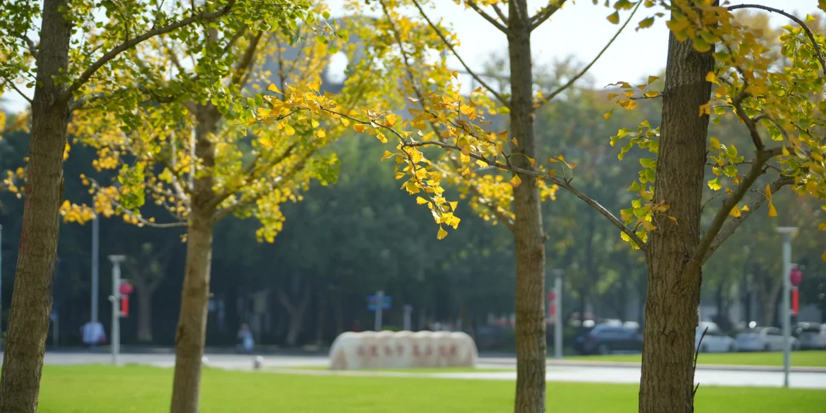Hubei University of Technology campus and facilities
