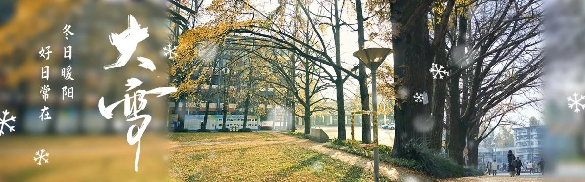 Sichuan Agricultural University campus and surroundings