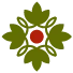 Central University Logo