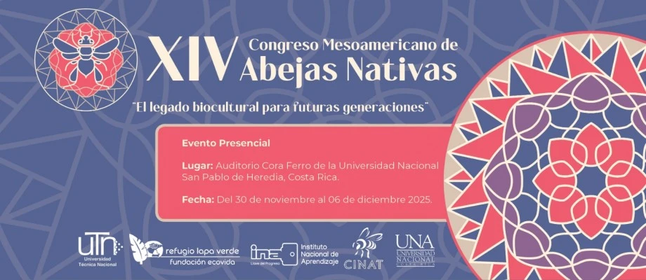 Universidad Nacional institutional setting