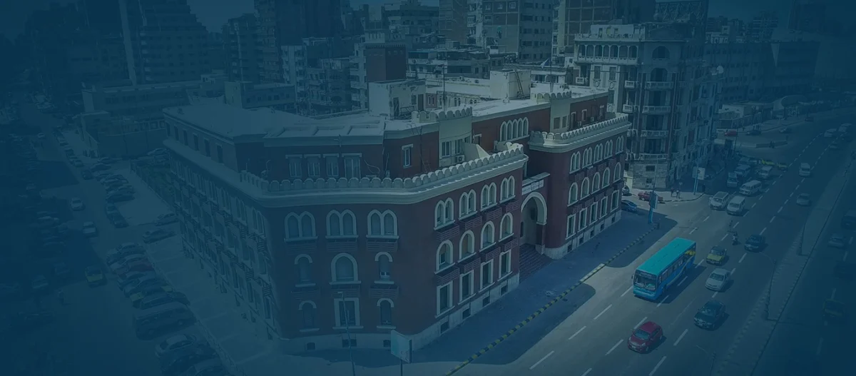 Inside Alexandria University