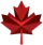 Canadian International College Logo