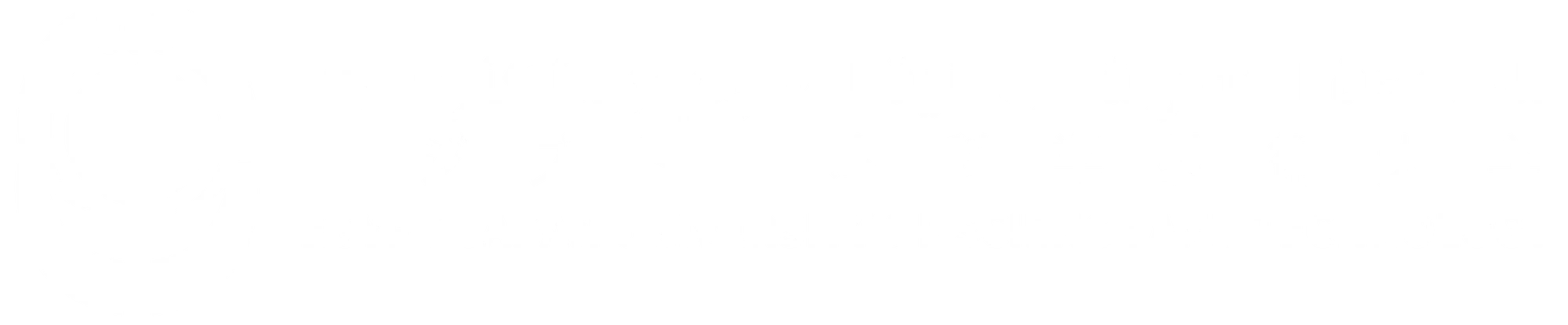 Egypt-Japan University of Science and Technology learning environment