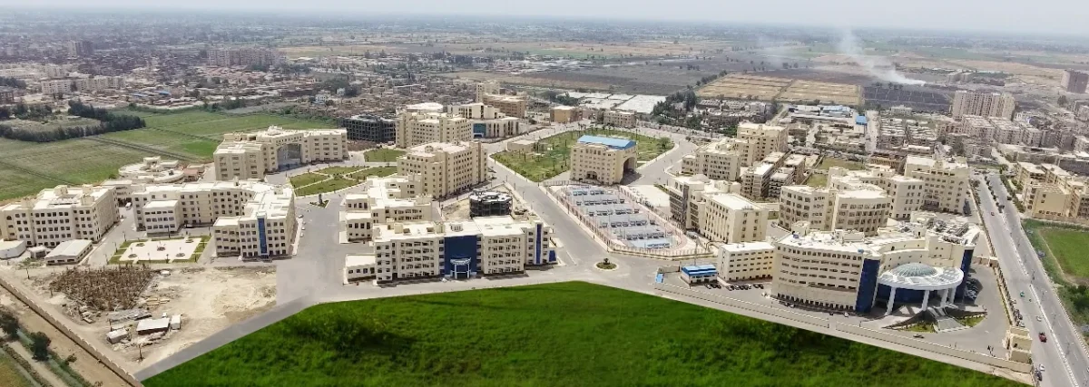 Around Kafrelsheikh University campus