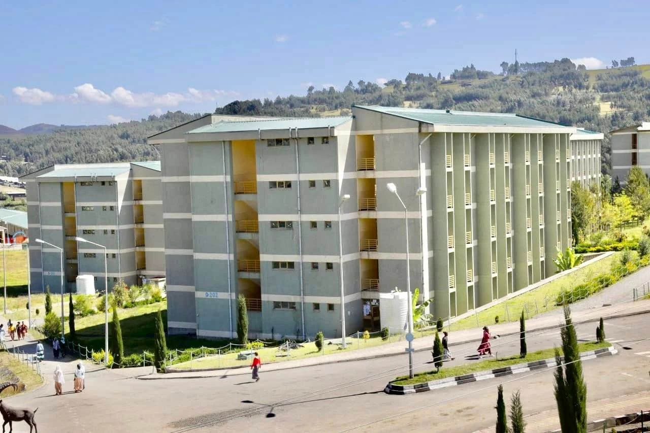 Debark University learning environment