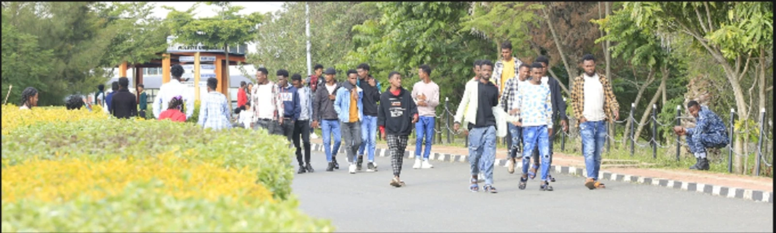 Around Wolkite University campus