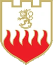 Emergency Services College Logo