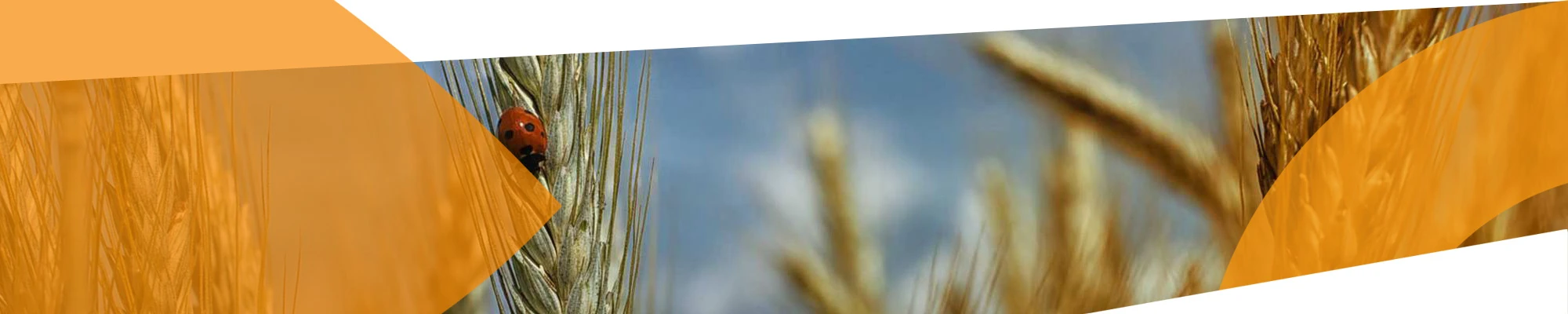 Agro Institute academic facilities