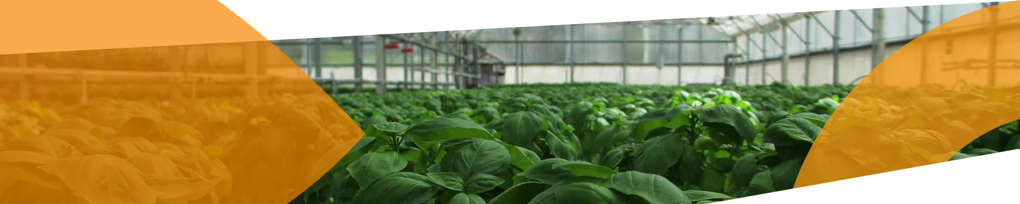 Agro Institute institutional setting
