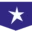 ECAM School of Engineering institutional logo