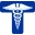 David Tvildiani Medical University Logo
