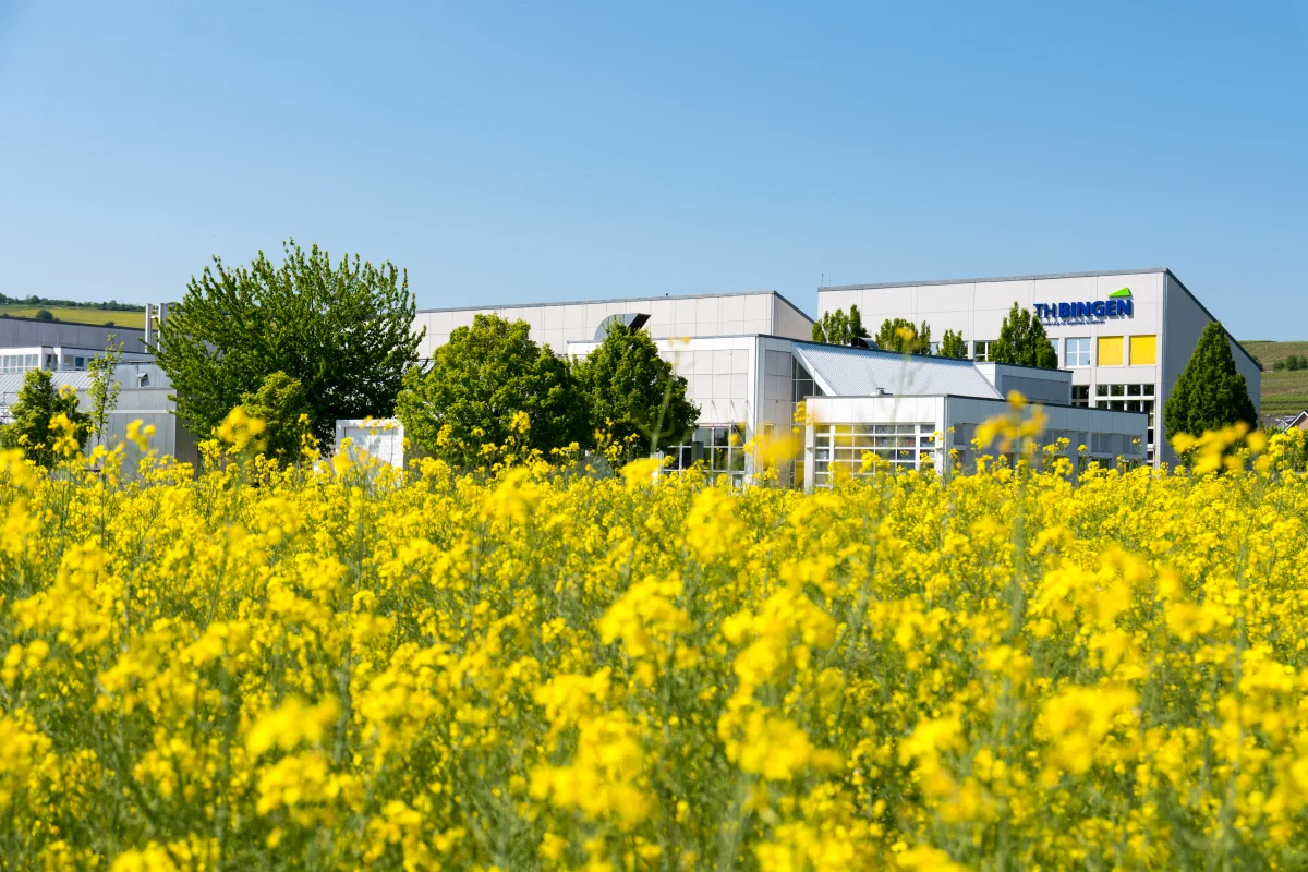 Bingen Technical University of Applied Sciences community on campus