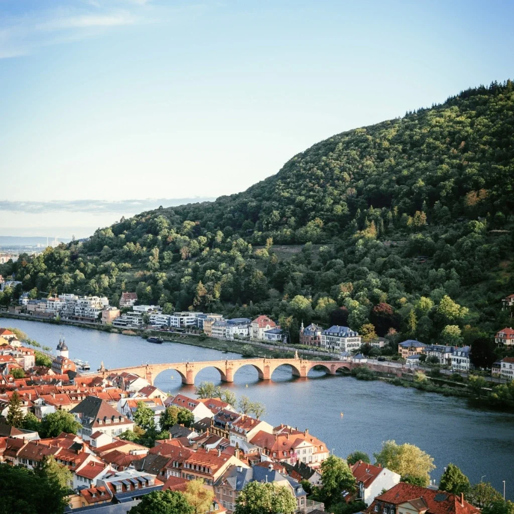 University of Applied Science for International Management Heidelberg campus building