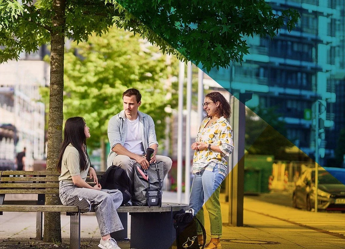 University of Wuppertal institutional setting
