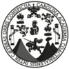 Universidad de San Carlos de Guatemala Logo