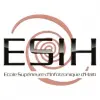 Haiti Higher School of Infotronics Logo