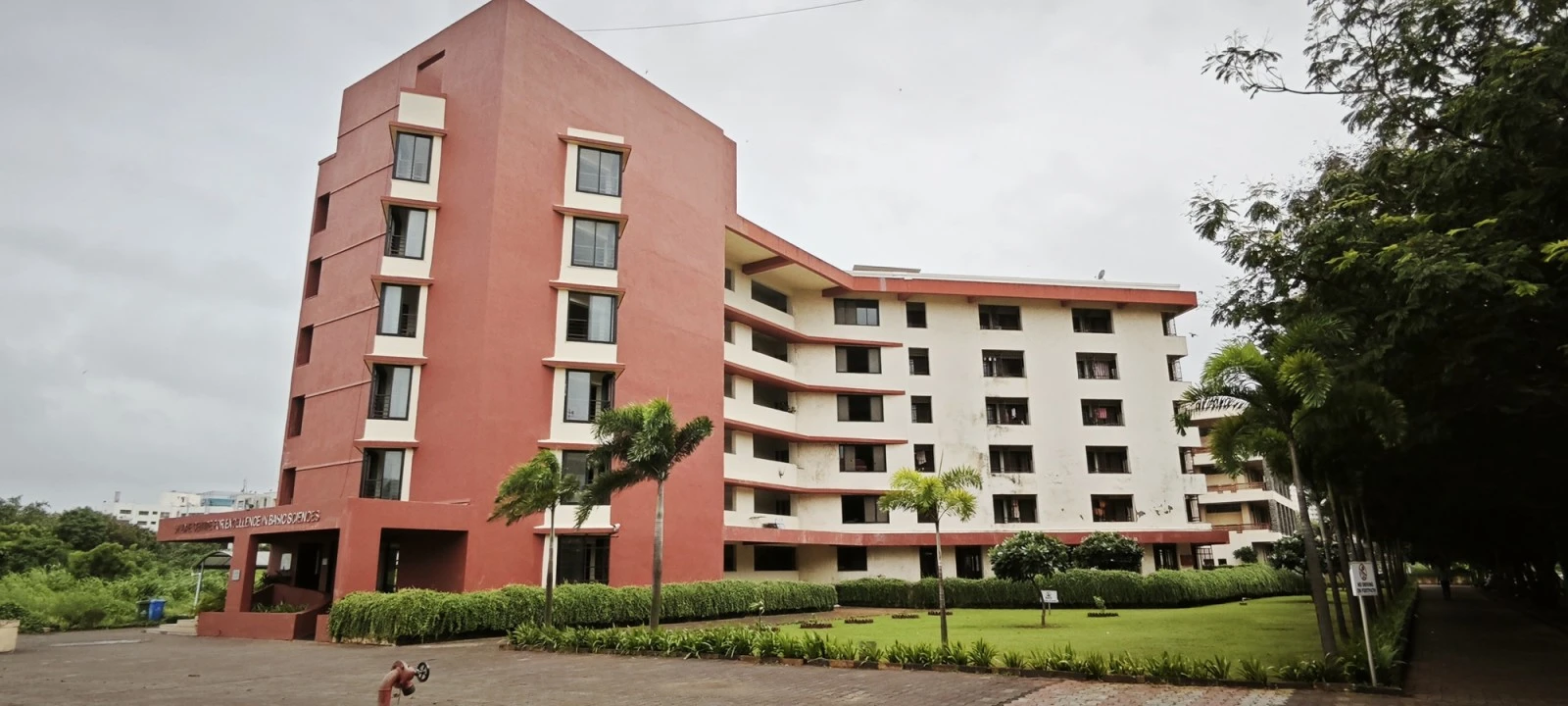Center for Excellence in Basic Sciences institutional setting