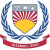 Indira Gandhi Technological and Medical Sciences University Logo
