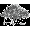 International Institute of Information Technology, Hyderabad Logo