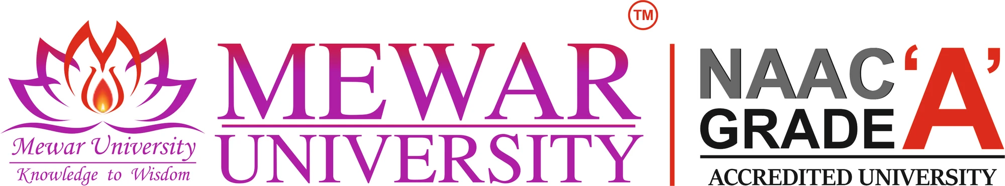 Students at Mewar University