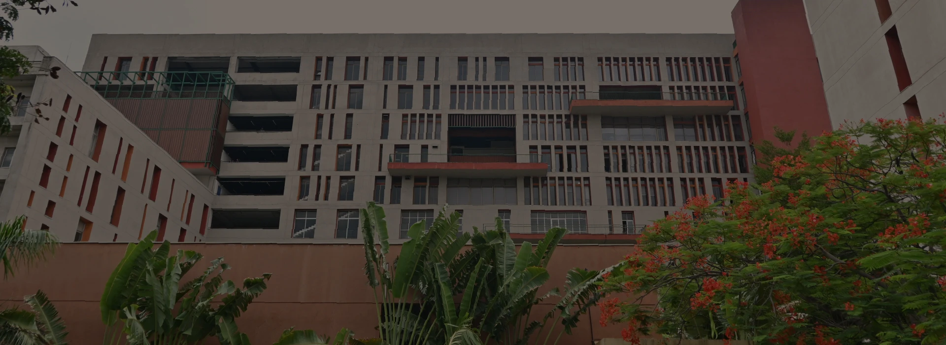 Around Navrachana University campus