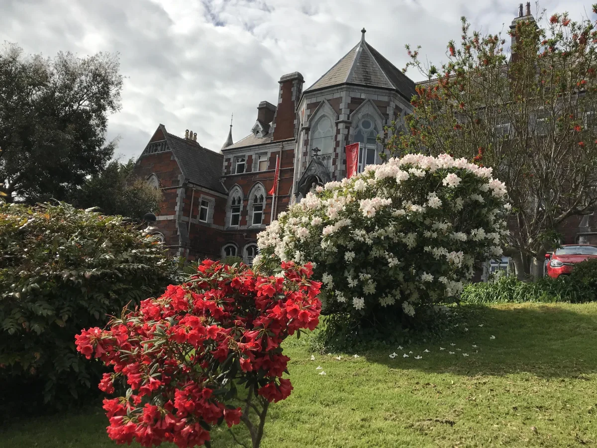 Griffith College Dublin campus and surroundings