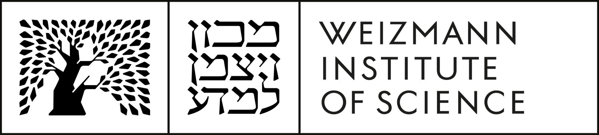 Weizmann Institute of Science learning environment