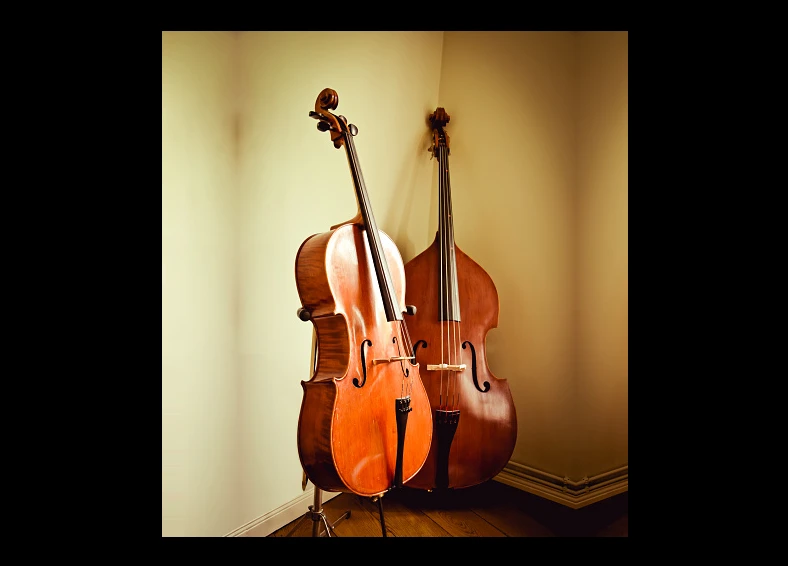 Students at Conservatorio di Musica FA Bonporti Trento