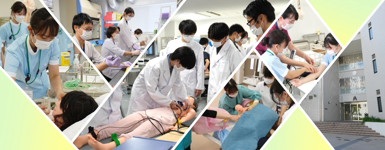 Hamamatsu University School of Medicine community on campus