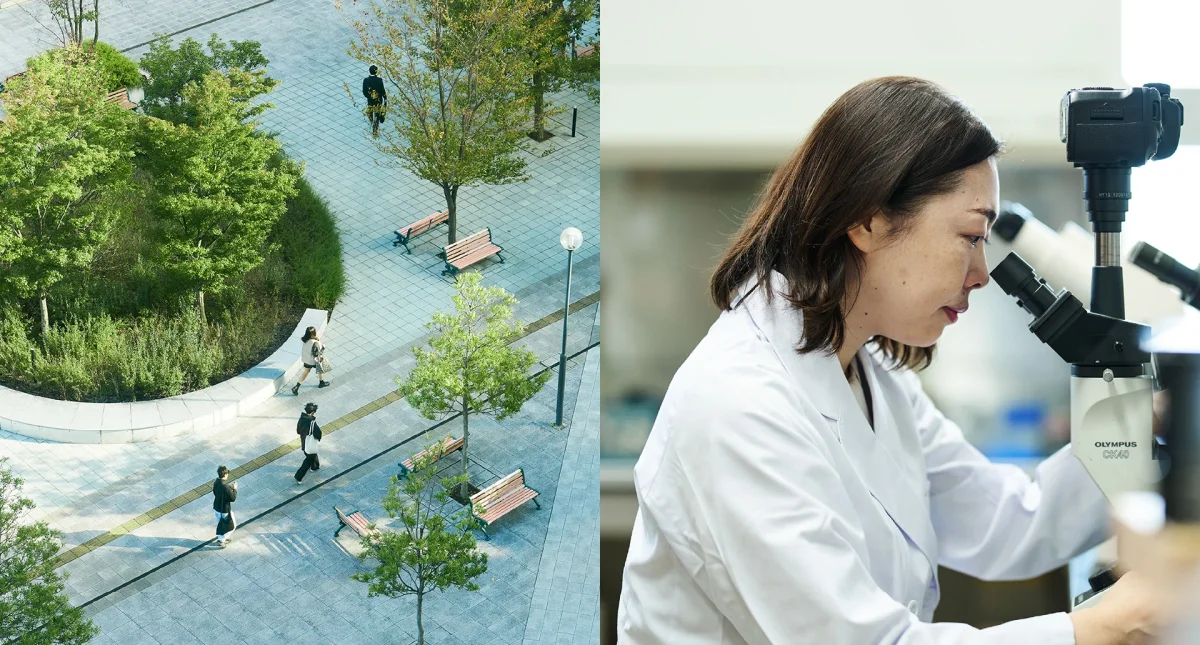 Daily life at Nihon University