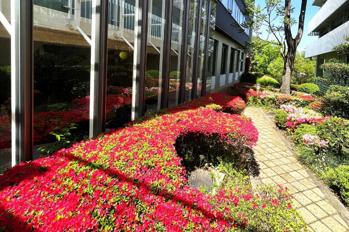 Tezukayama University campus scene