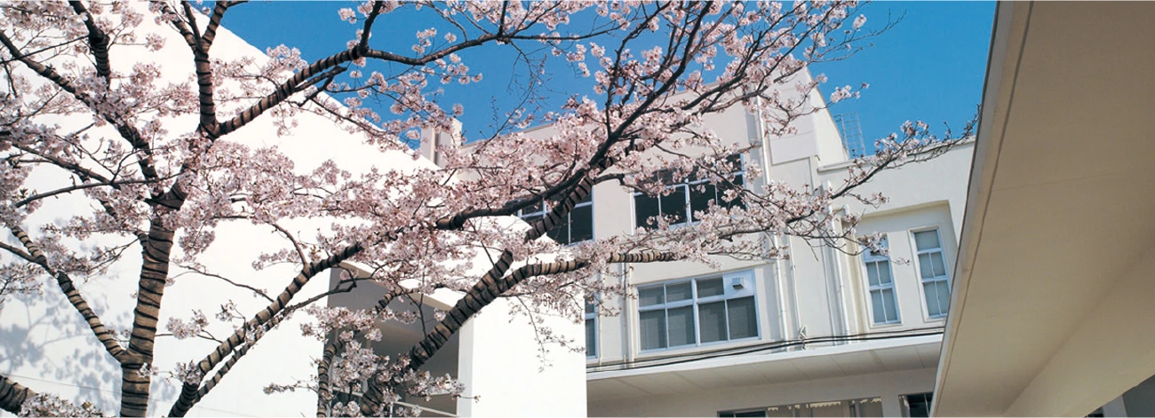 Daily life at Toyo College of Food Technology