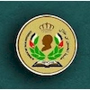 Al-Hussein Bin Talal University Logo