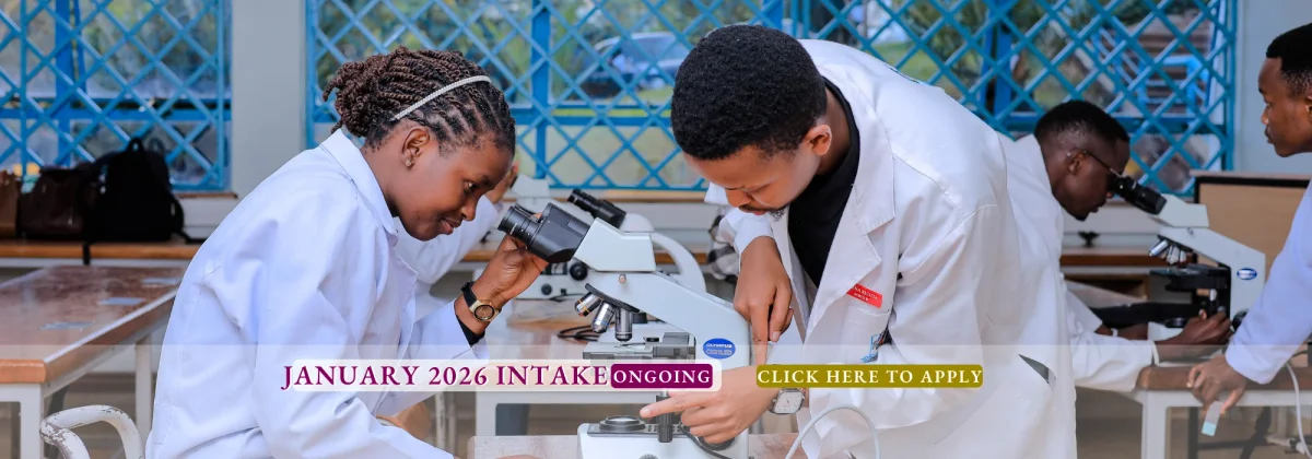 Kenya Methodist University institutional setting
