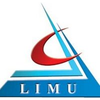 Libyan International Medical University Logo