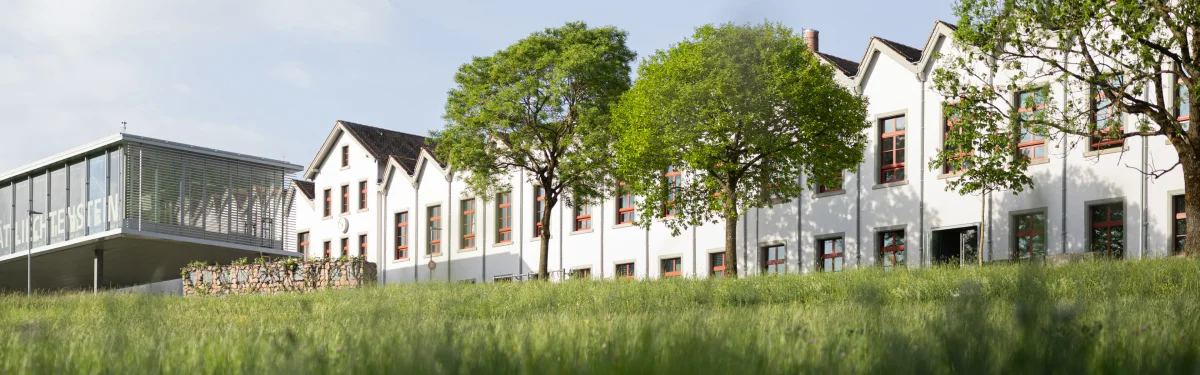 Inside University of Liechtenstein