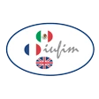 French-English University Institute of Mexico Logo