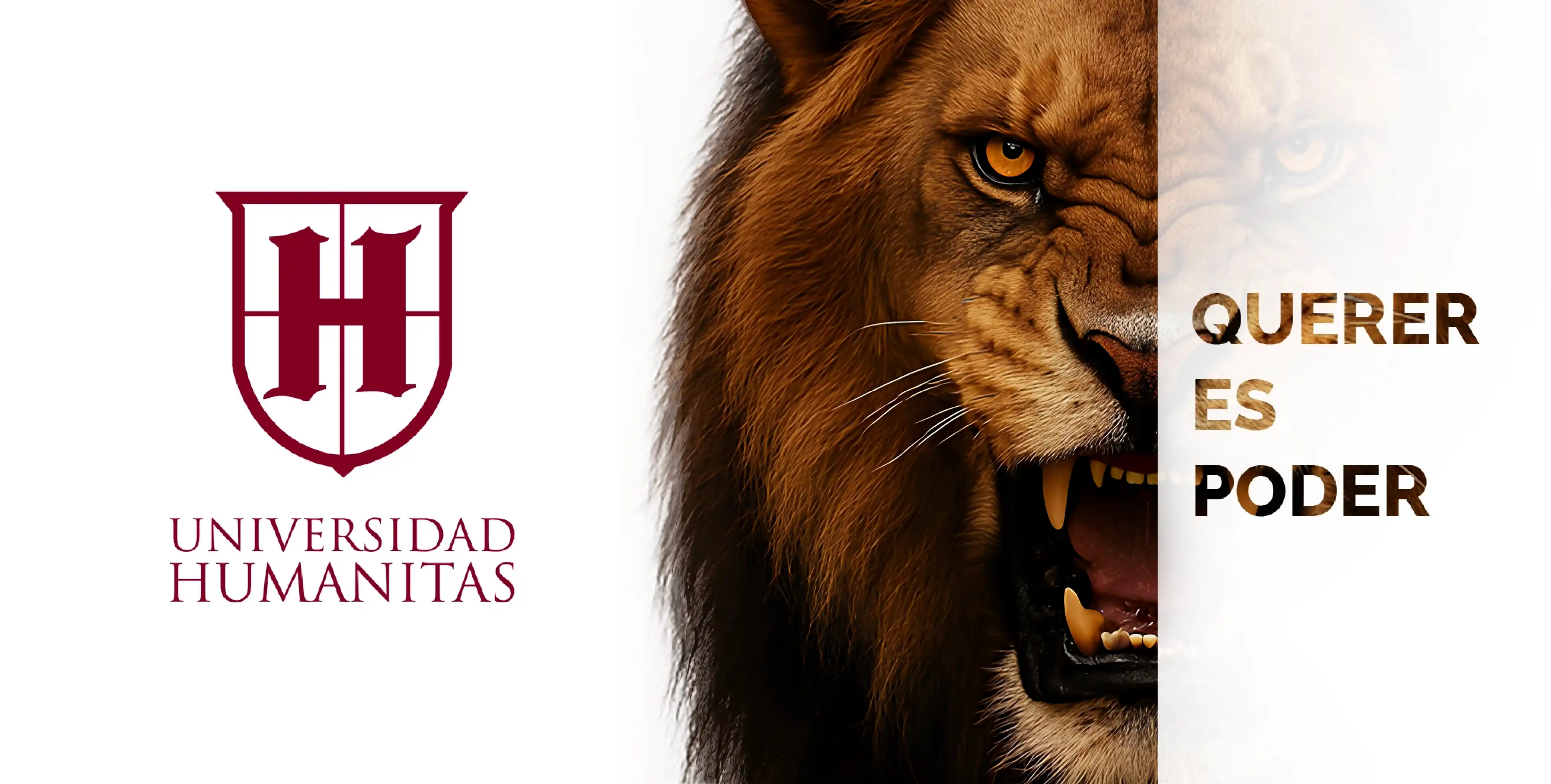 Daily life at Humanitas University