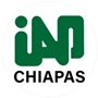 Institute of Public Administration of the State of Chiapas Logo