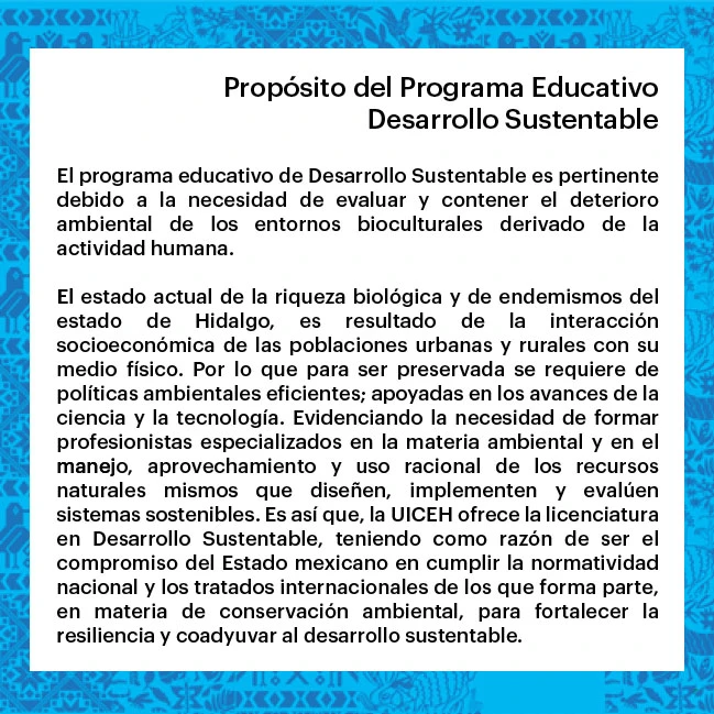 Intercultural University of the State of Hidalgo student life