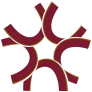 International University Centre Logo